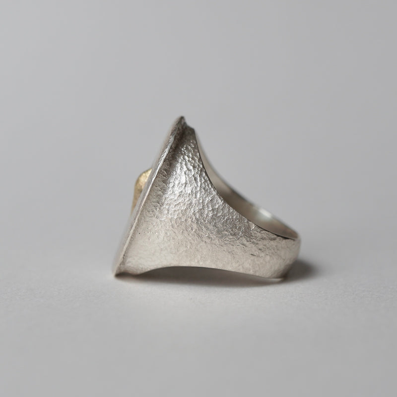 ATELIER FER / FR-68 Giraffe Embedded Oval #17