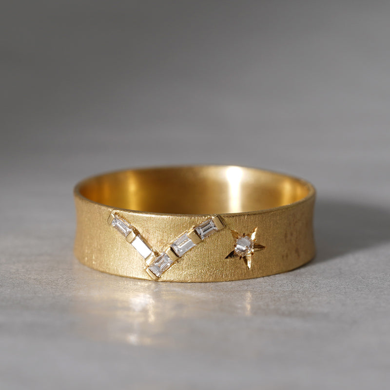 [5/3-5/25 Limited time only] 19un-neuf /Starry night Ring Dia AR04711