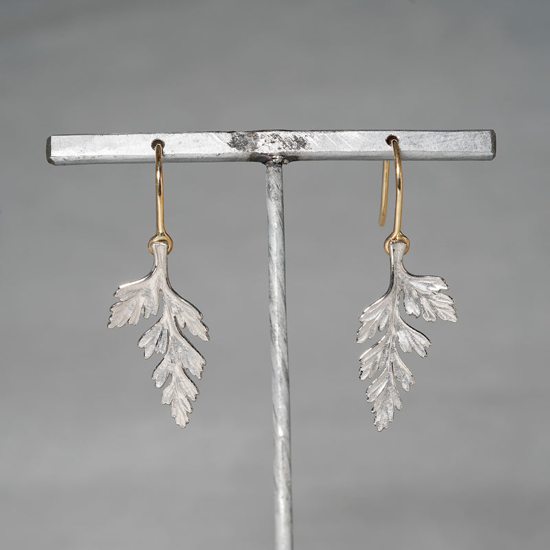 WATARU YAMAZAKI / Pierce 'Wild Fern'