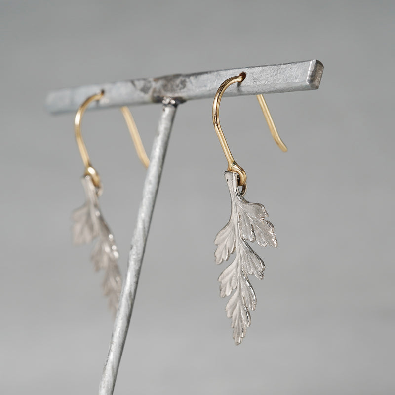 WATARU YAMAZAKI / Pierce 'Wild Fern'