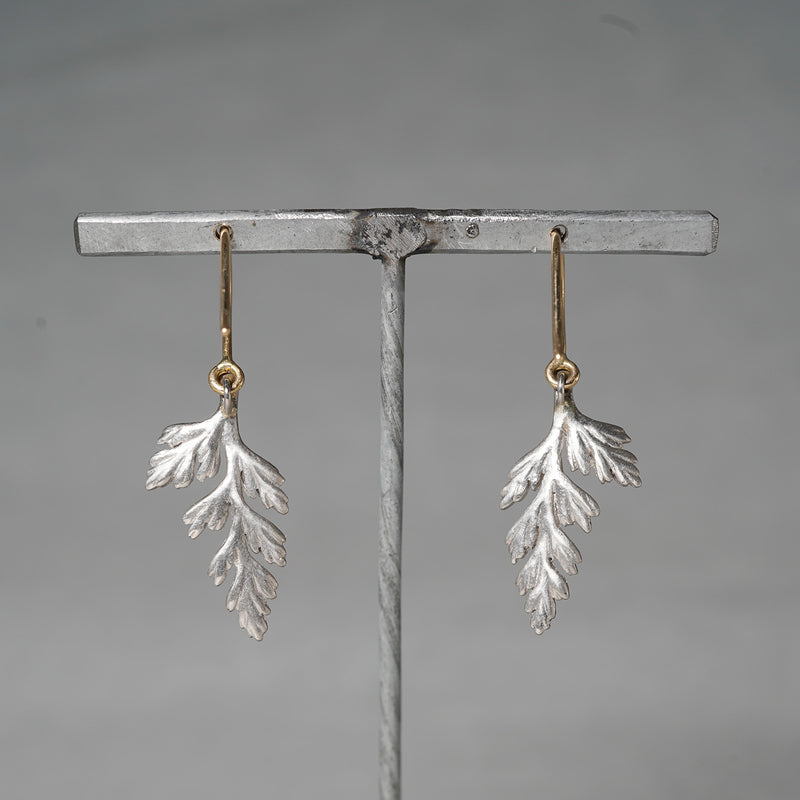 WATARU YAMAZAKI / Pierce 'Wild Fern'