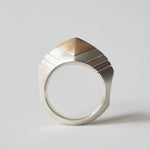 GERMEDEUR / Airrial Garden Ring
