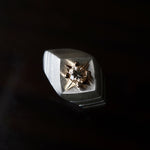 GERMEDEUR / Airrial Garden Ring Brown Zircon