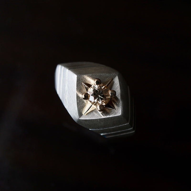 GERMEDEUR / Airrial Garden Ring Brown Zircon