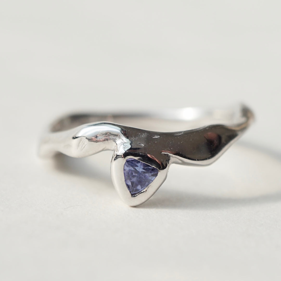 MIKU FUKAMITSU – Fuligo / Fuligoshed