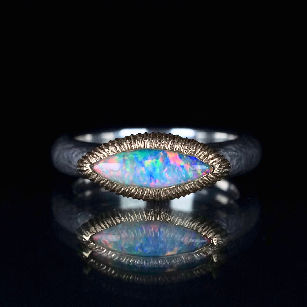 ring – Fuligo / Fuligoshed