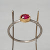 [-2/24 limited] Siena / Spinel Ring 2309-04