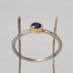 [-2/24 limited] Siena / Sapphire Ring 2209-04