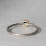 [-2/24 limited] Siena / Sapphire Ring 2209-04