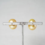 [-3/16 Limited] MINIMUMNUTS / South Sea Pearl pierce Dia MN-pin002