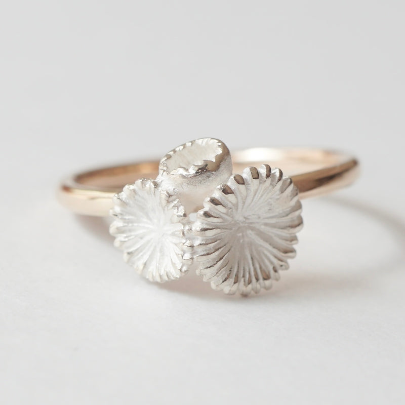 cocoon / "sea landscape ring" anemone S【custom-order Limited edition]