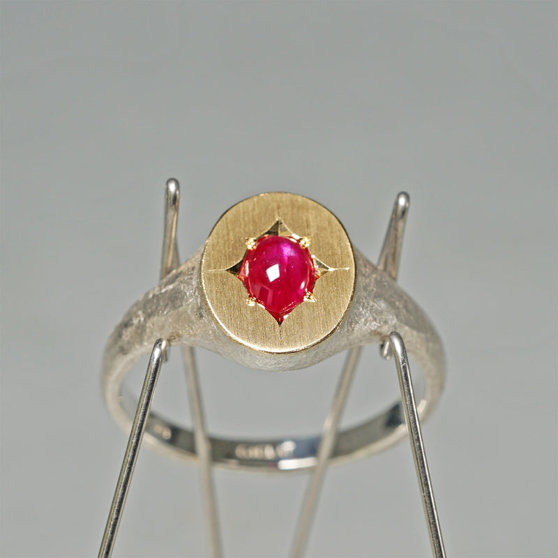 【-12/28 期間限定】GICLAT / Silver Collection  K18YG/silver x Star Ruby　GLR775