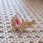 cocoon / scene ring 「Wind -Ginkgo-」