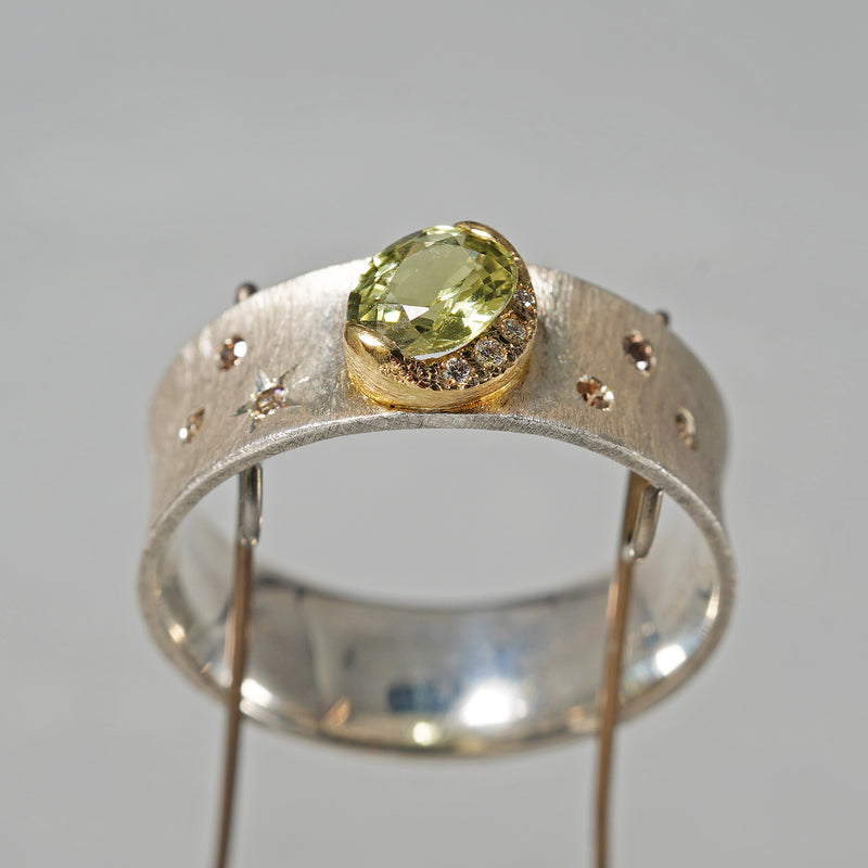 [5/3-5/25 Limited time only] 19un-neuf / Handsome Ring Bicolor sapphire CR09414