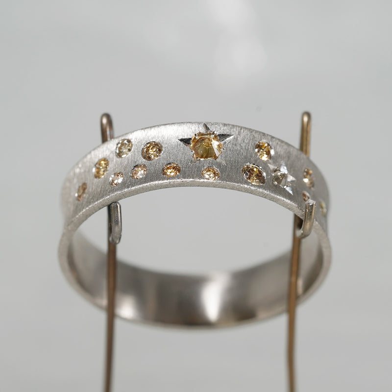 [5/3-5/25 Limited time only] 19un-neuf / Starry Night Ring Brown Diamond AR07713