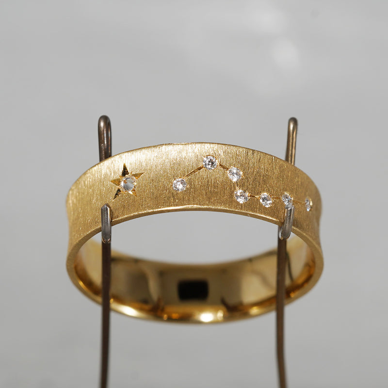 【5/3-5/25 期間限定】19un-neuf / 北斗七星のRing Diamond LR19713