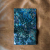 [Limited period]shosa / Long wallet soap x black