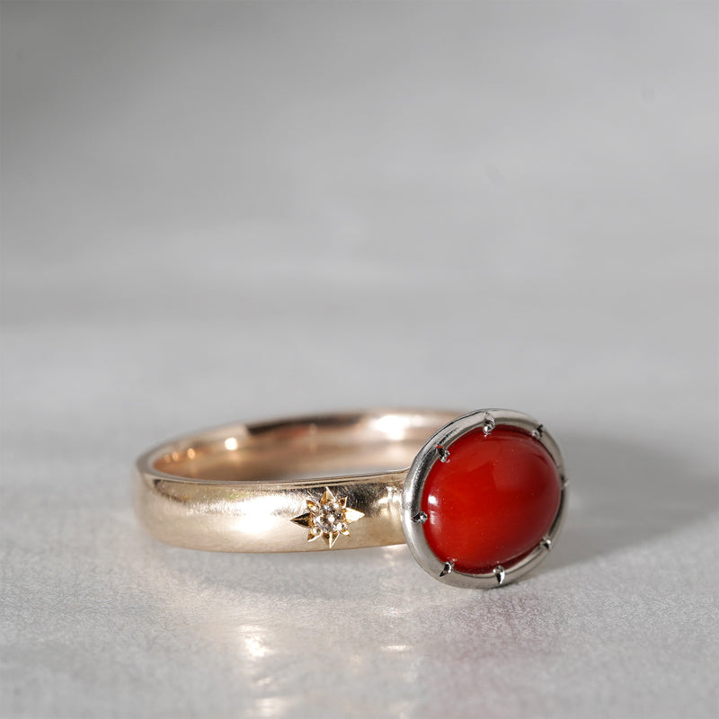 tatsuo nagahata / コーラルリング (LM7237)