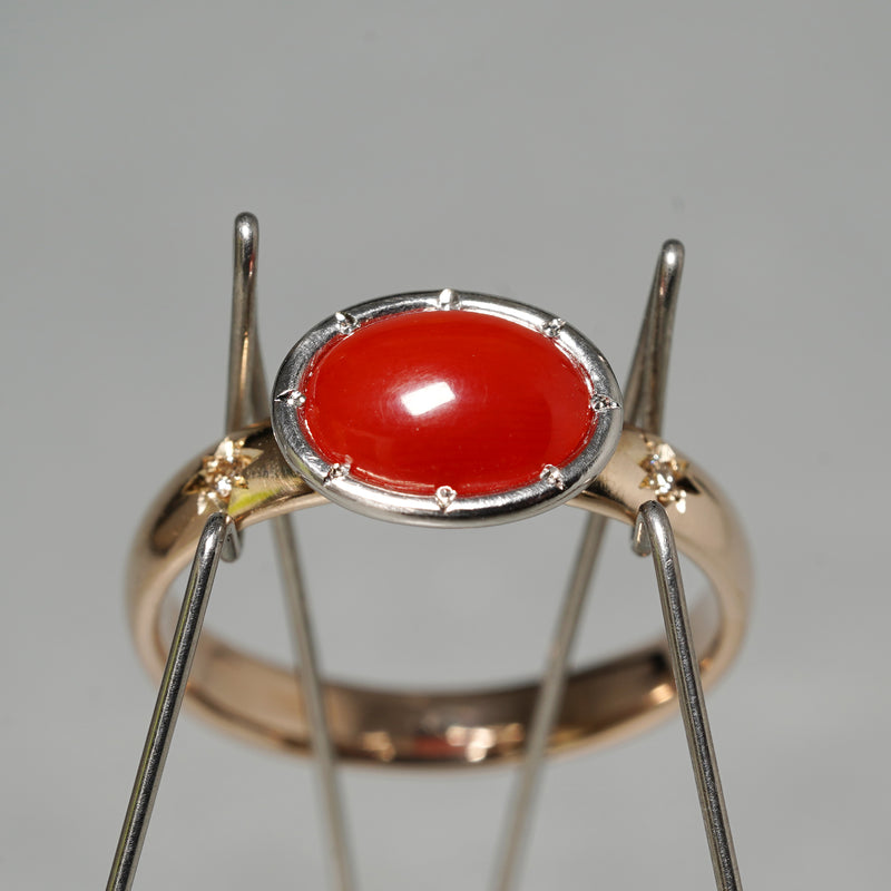 tatsuo nagahata / コーラルリング (LM7237)