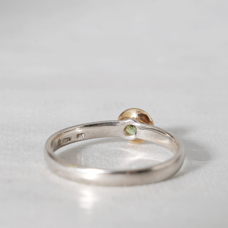 tatsuo nagahata / デマントイドガーネットリング (LM7194)