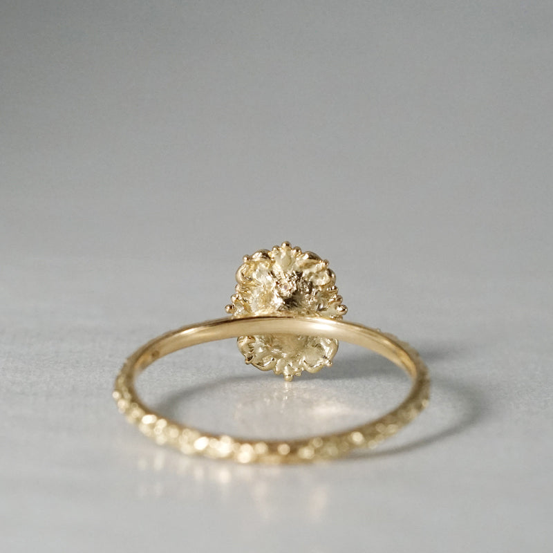 Time / ピンクトルマリン F2601005 – Fuligo / Fuligoshed