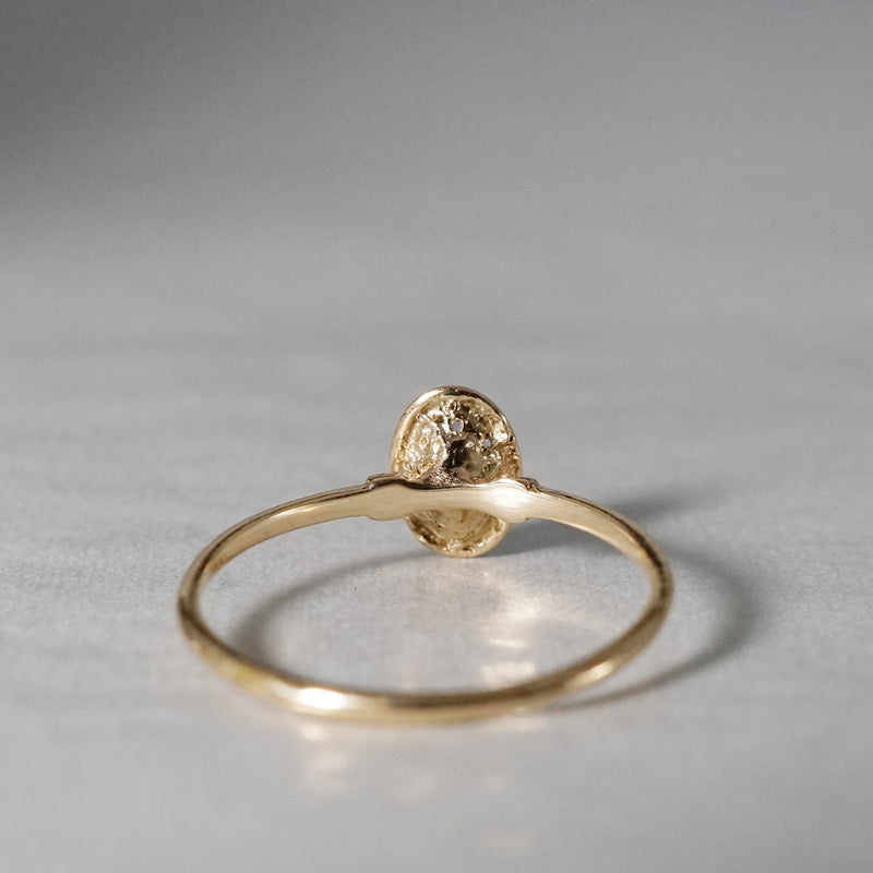 Time / タンザナイト F2601003 – Fuligo / Fuligoshed